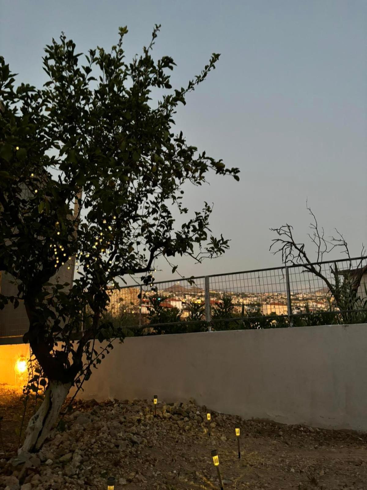 Bibliotheque Vintage Studio & Easy Garden Heraklion  Exterior photo